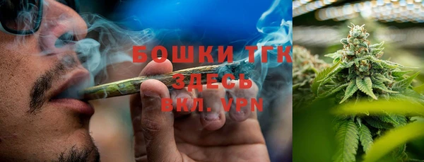 PSILOCYBIN Баксан