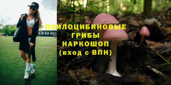 PSILOCYBIN Армянск